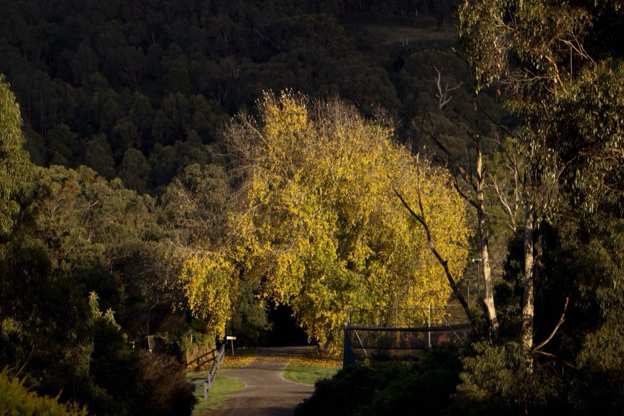 Golden light over the retreat grounds